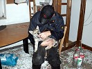 Hund