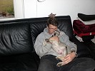 Hund