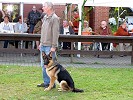 Hund